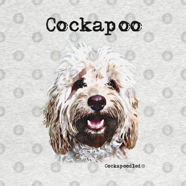 Champagne Blonde Cockapoo / Spoodle and Doodle Dog by WoofnDoodle 